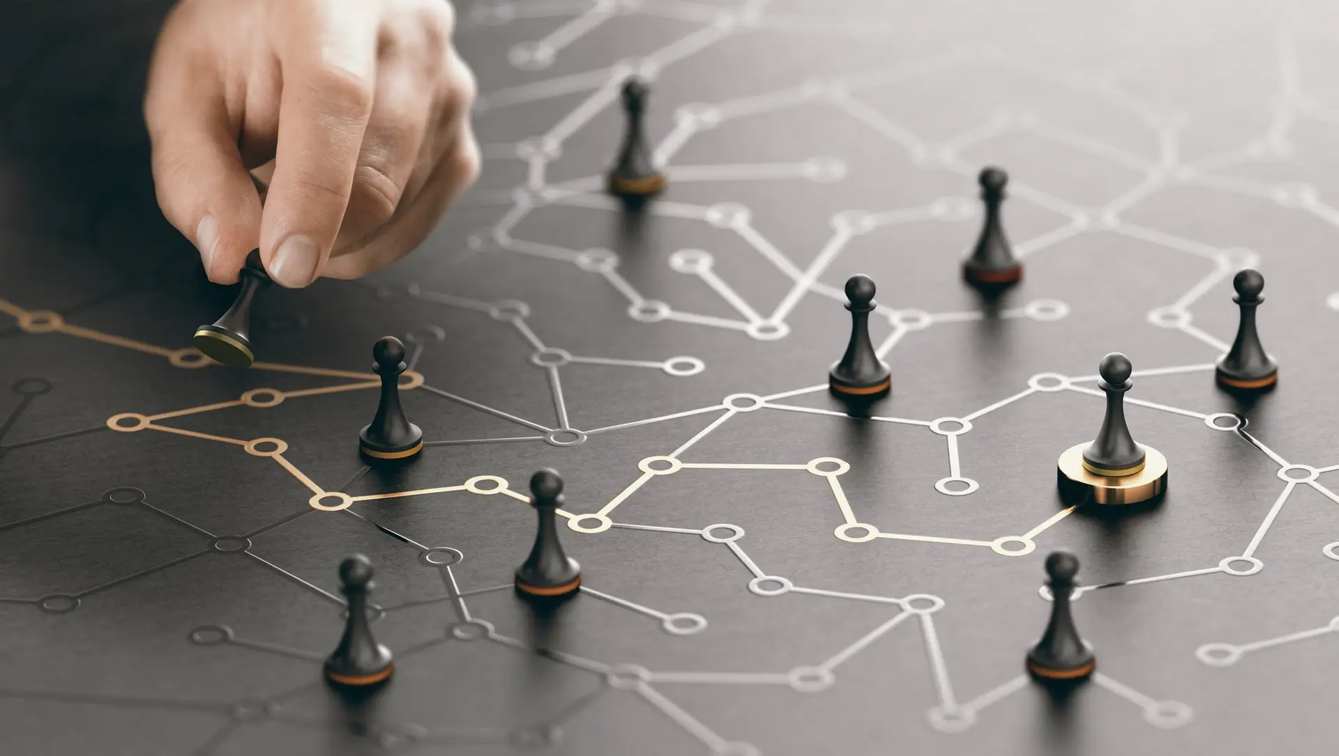 Studios bamboo agence web la rochelle3