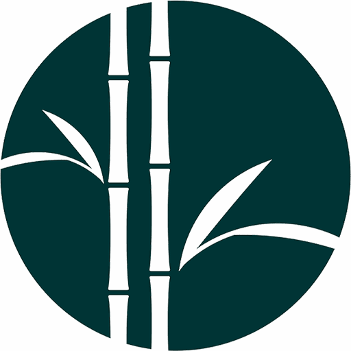 Logo de studio bamboo en vert sur fon transparent
