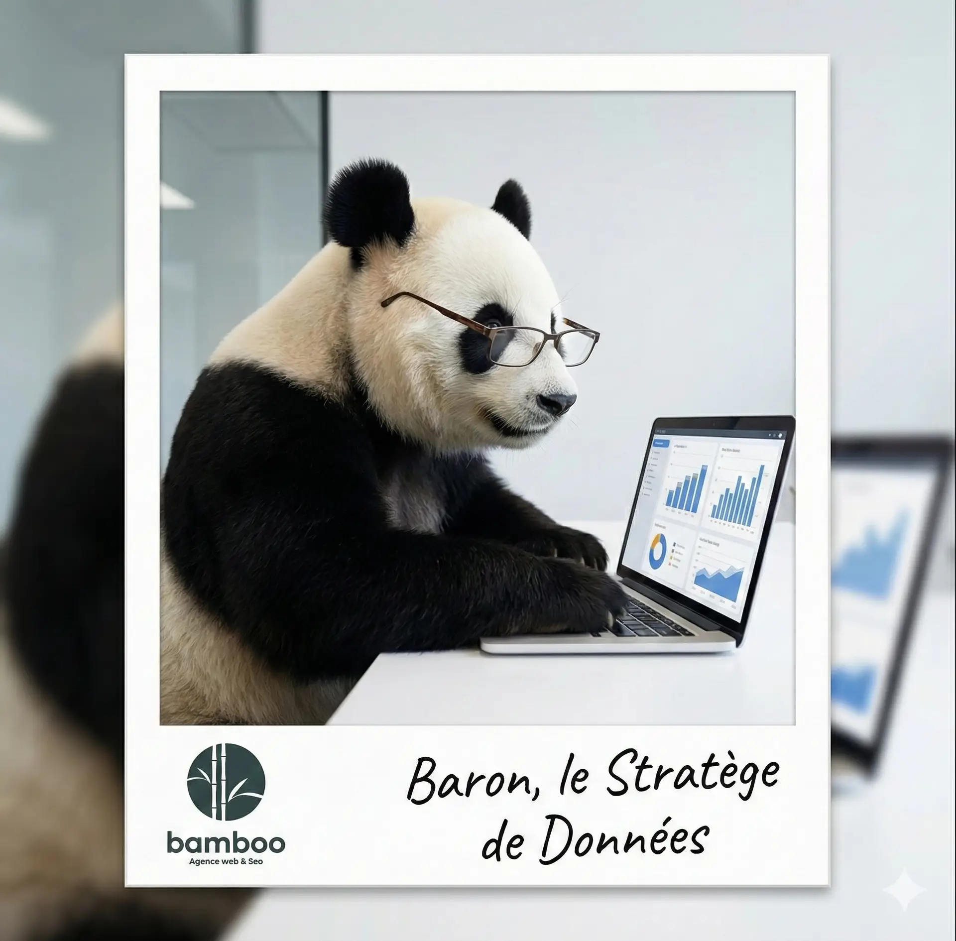 Baron Panda Expert SEO