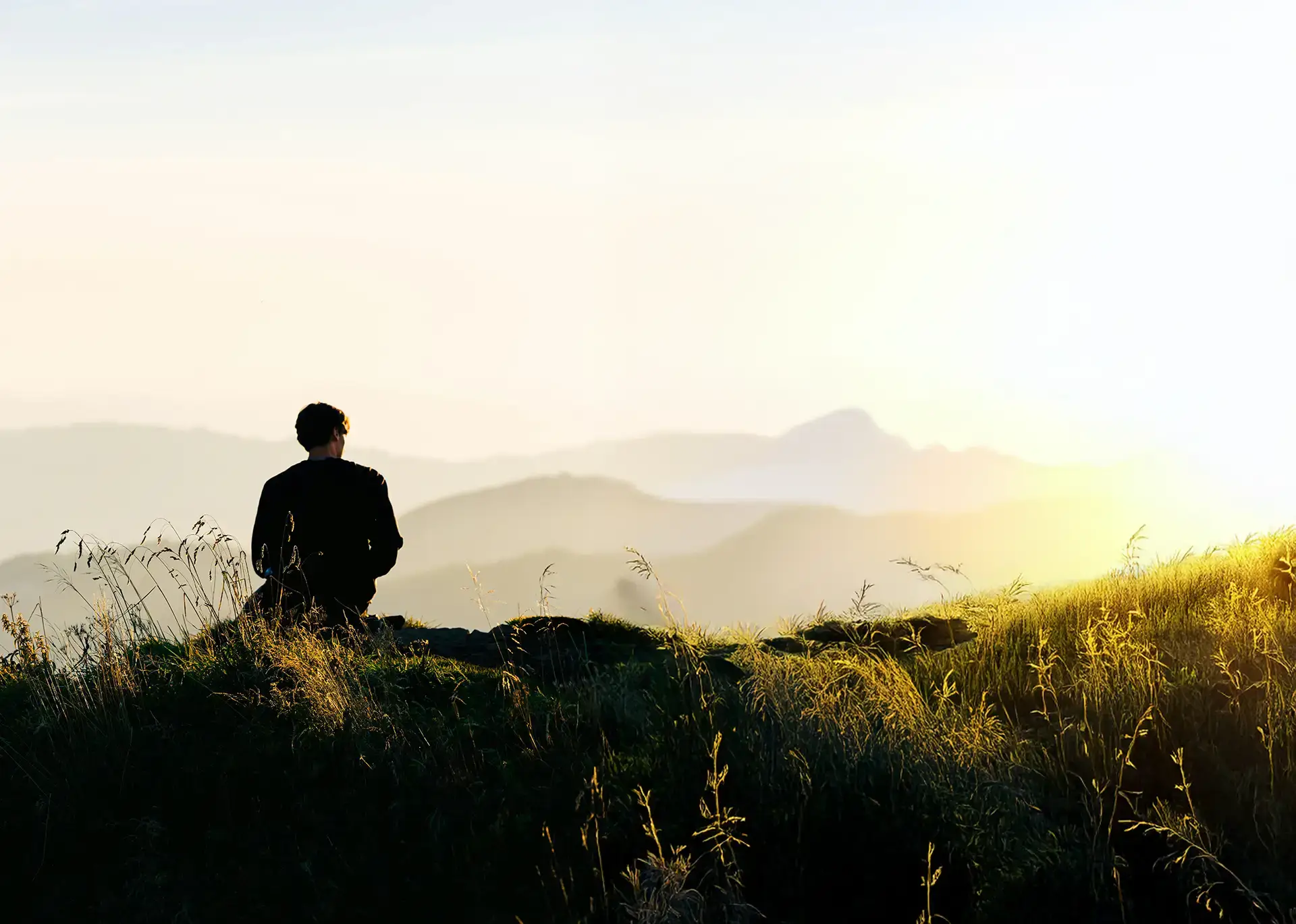 Site web DYL - Nutritionniste