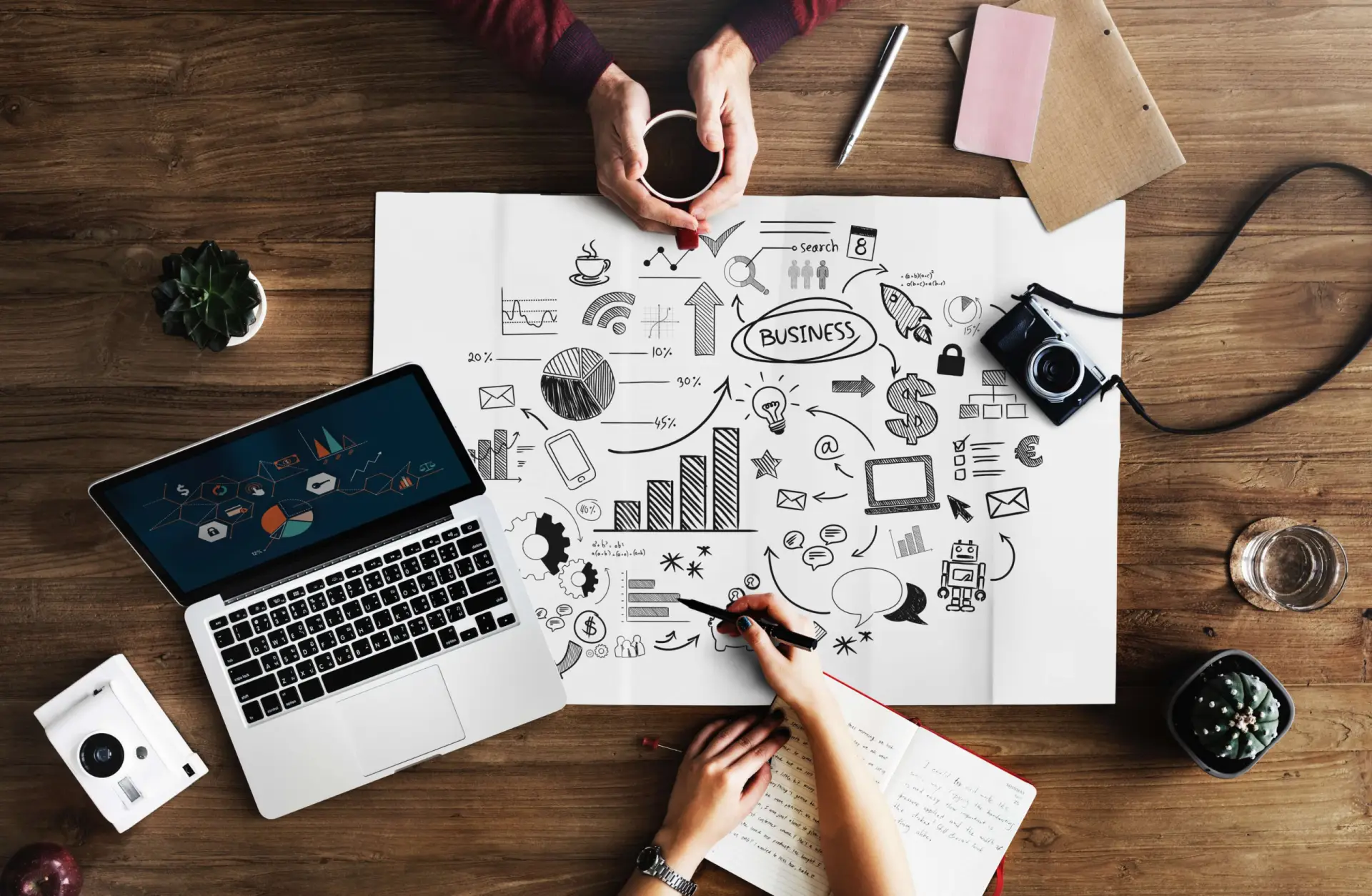 Studio Bamboo, agence AIO et SEO à La Rochelle — référencement intelligence artificielle