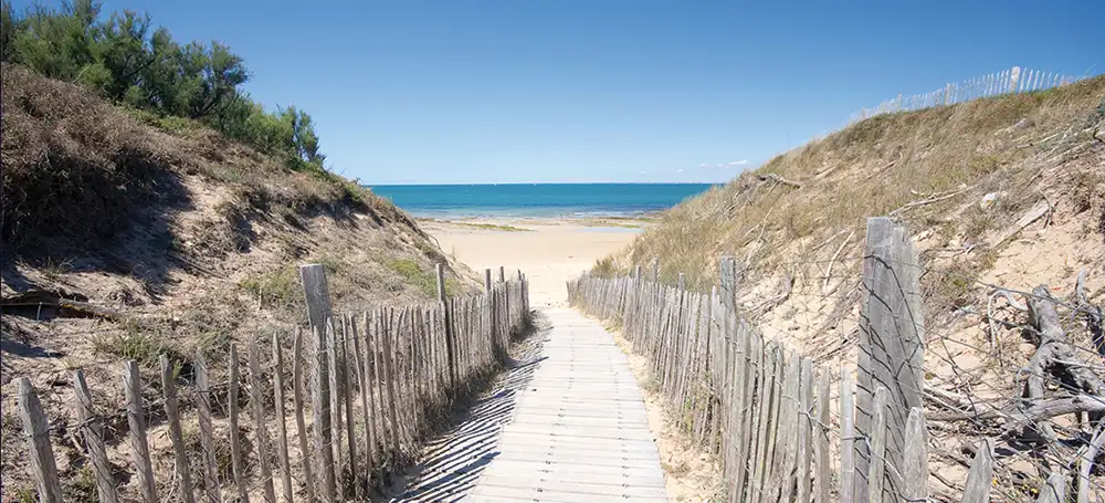 Création de site web pour les artisans de l'Île de Ré – Studio Bamboo agence web