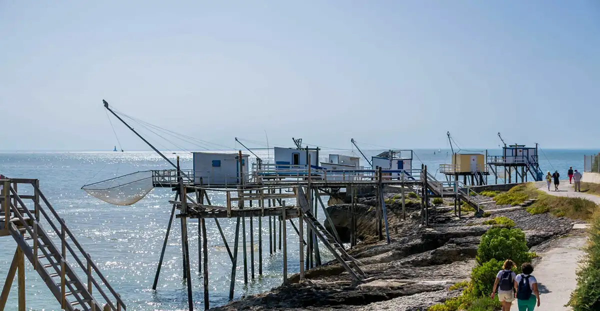 Création de site web à Royan – Studio Bamboo agence web Charente-Maritime (17)