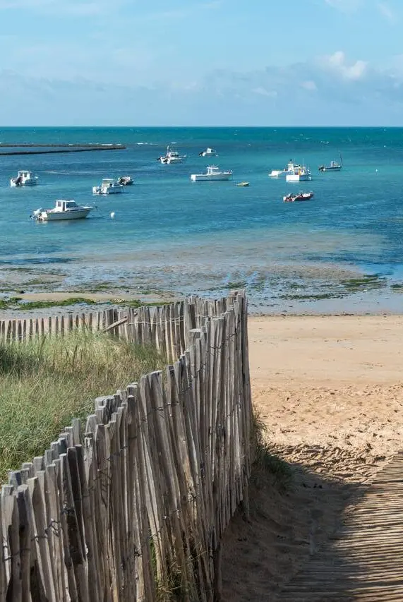 Création de site internet sur l'Île d'Oléron et Marennes, agence web locale - Studio Bamboo