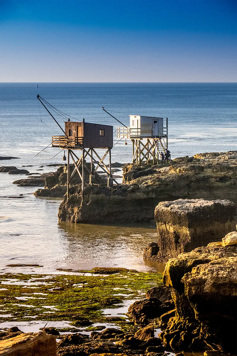 Création de site internet à Royan avec les célèbres carrelets sur la Côte de Beauté – Studio Bamboo Agence Web