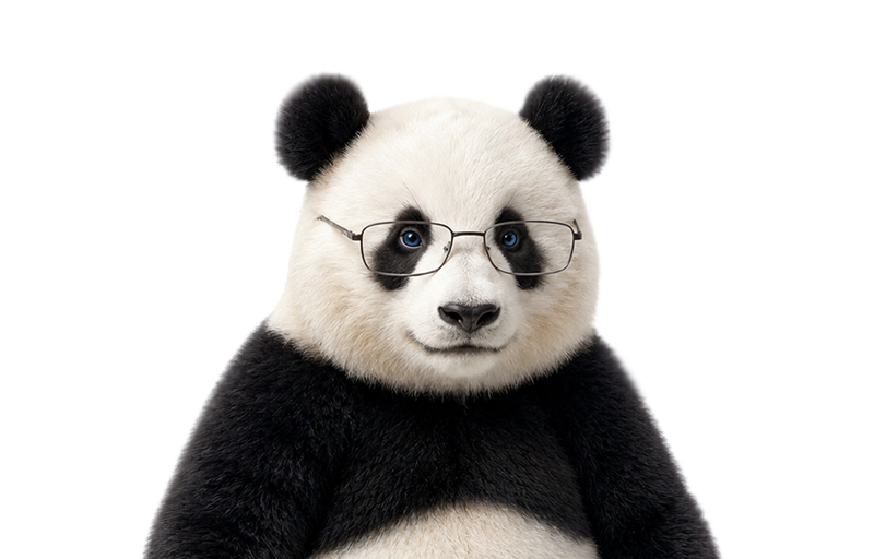 Barron, la mascotte de Studio Bamboo